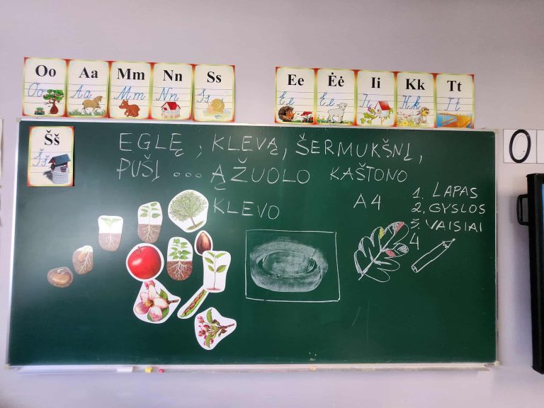 Integruota pamoka „Medžių dalys“